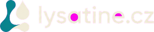 Nejlepší online kasina 2026 v ČR 🎰 Srovnání a bonusy